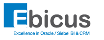 Ebicus Logo vanaf 2012 "Excellente organisatie"